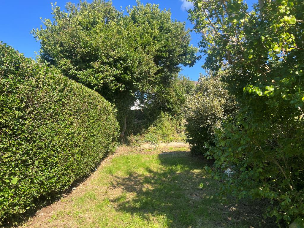 Lot: 151 - TERRACED HOUSE FOR UPDATING - Rear garden